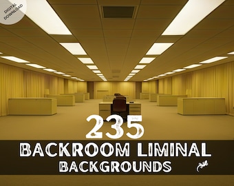235 Backroom Liminal Space Vtuber Backgrounds Bundle, Stream Twitch Zoom Backgrounds, Backrooms Virtual Background, Vtuber Digital Download