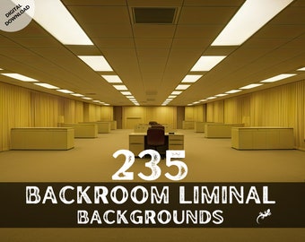 Pacchetto di 235 sfondi Vtuber Backroom Liminal Space, sfondi Zoom Twitch in streaming, sfondo virtuale Backrooms, download digitale Vtuber