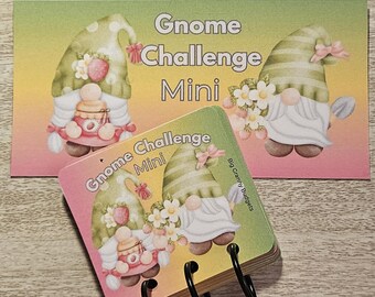 Low Income Gnome Mini Challenge