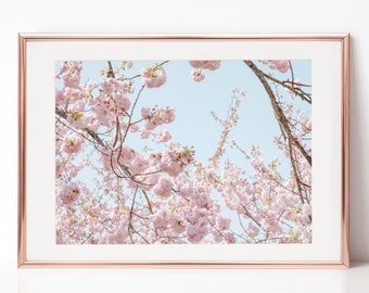 Travel Photography, Japan, Cherry Blossom, Flowers, Download Digital Photography, Print, Downloadable Image, Printable Art