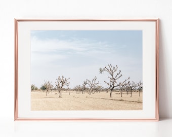India Landscape Photography (Digital Download)
