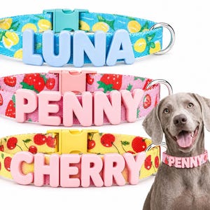 Puede incluir: Tres collares coloridos para perros con nombres. El collar superior es azul con limones y el nombre "LUNA". El collar del medio es rosa con fresas y el nombre "PENNY". El collar inferior es amarillo con cerezas y el nombre "CHERRY".