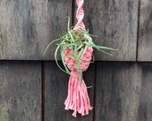 Macrame Air Plant Hanger Boho Tillandsia Planter