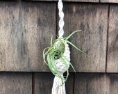 Indoor Plant Hanger Macrame Air Plant Holder Cute Boho Planter