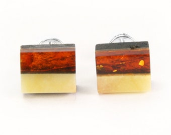 Earrings on the stick - amber, silver, black oak