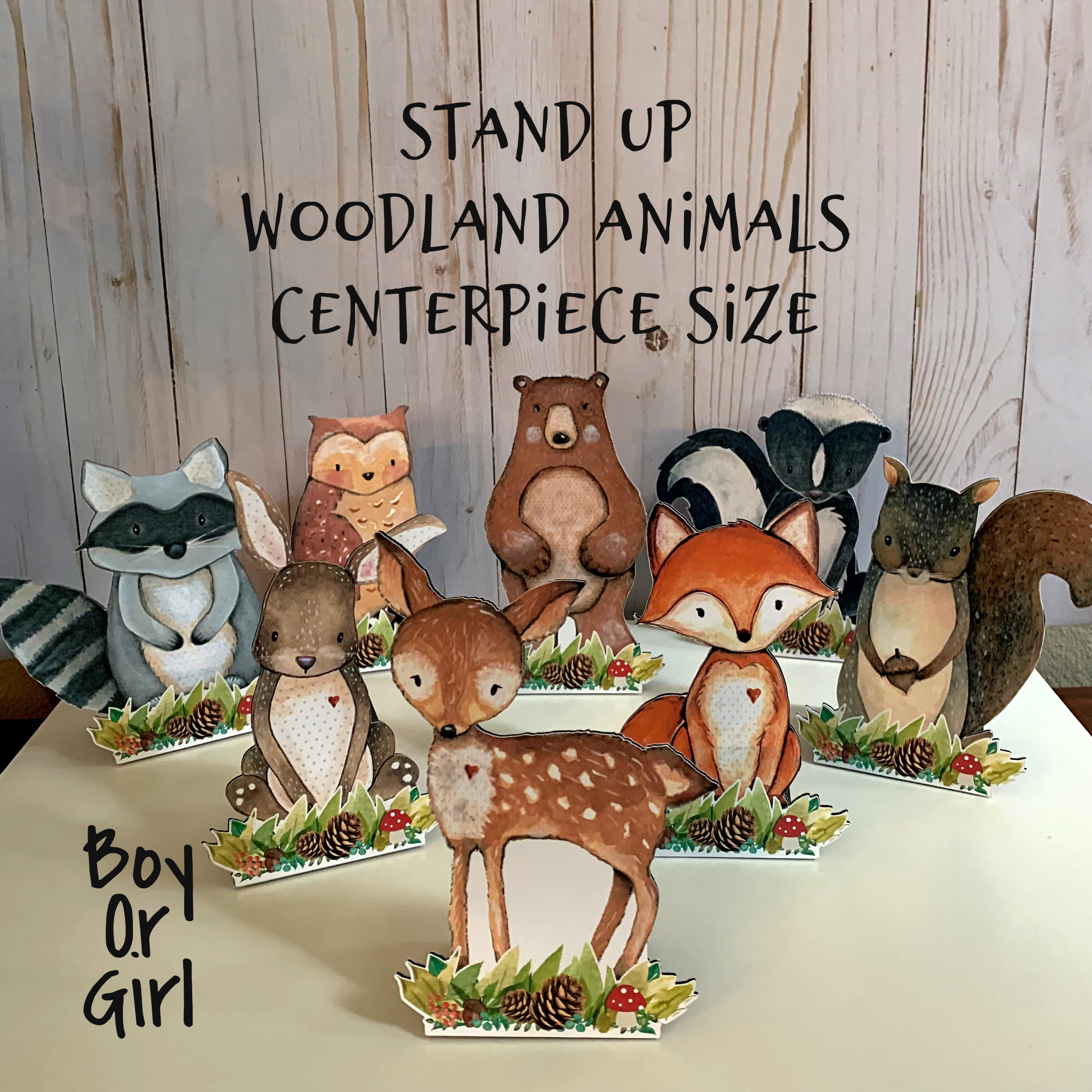 Animals Baby Shower Decorations Woodland - Etsy