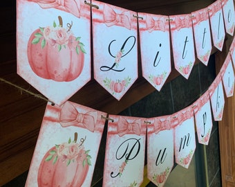Little Pumpkin baby shower set girl, lil’ pumpkin baby shower banner, fall themed girl baby shower decorations, Pink little pumpkins baby