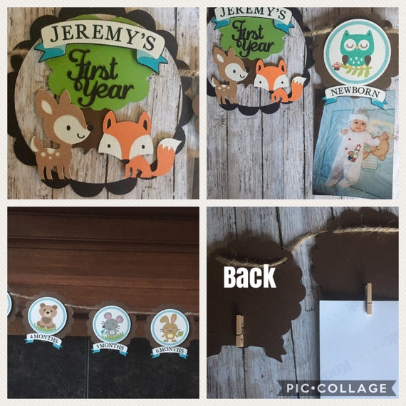 1st Birthday Party Smash Cake Bib Woodland Animals Theme Baby Bib for Boys