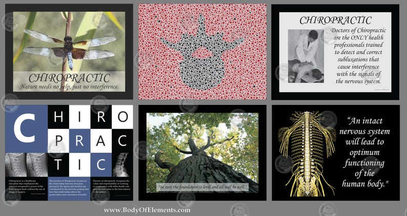 Chiropractic Posters Digital Download Prints Clinic Wall Art Charts ...