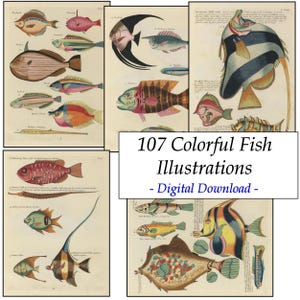 Tropische Fische Vintage Alt Meer Leben Ozean Illustrationen Ephemera Digital Print Download Junk Journal Clipart Collage Sammlung Scrapbooking