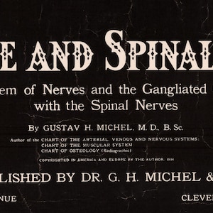 The Spine and Spinal Nerves Vintage 1914 Poster Medical Anatomy Wall ...