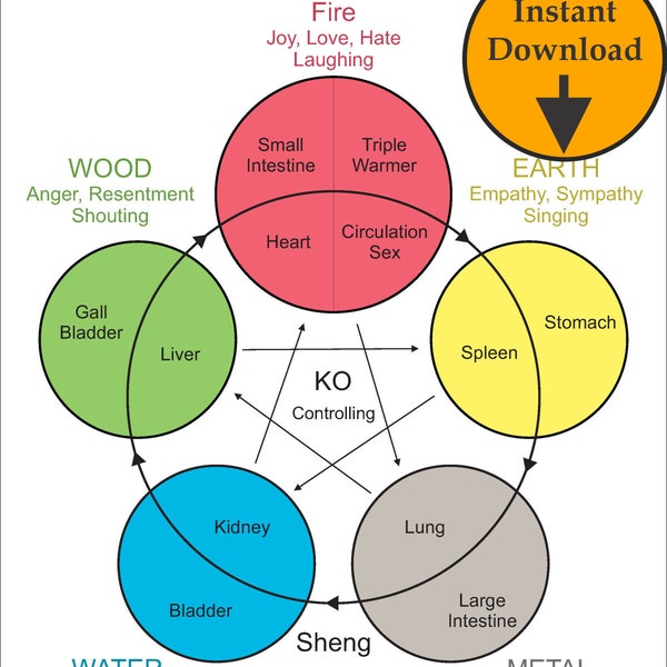 Five Elements of Acupuncture Digital Print Download Traditional Chinese Medicine Wall Art