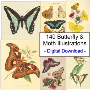 Könnte beinhalten: Ein digitaler Download von 140 Vintage-Illustrationen von Schmetterlingen und Motten. Die Illustrationen sind in verschiedenen Farben und Stilen gehalten und eignen sich perfekt, um Ihren Projekten einen Hauch von Natur zu verleihen.