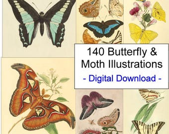 May include: A digital download of 140 vintage illustrations of butterflies and moths. The illustrations are in a variety of colors and styles, and they are perfect for adding a touch of nature to your projects.