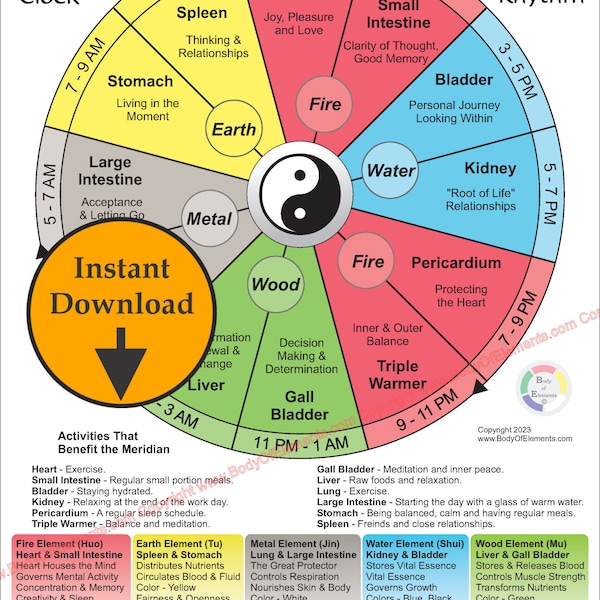 Chinese Medicine Meridian Organ Body Qi Clock TCM Associations Five Elements Circadian Horary Cycle Acupuncture Digital Download Gift Print