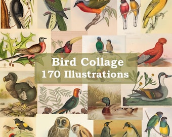 May include: A collage of 170 bird illustrations featuring a variety of species, including owls, penguins, ducks, and parrots. The collage is set against a background of green leaves and branches.