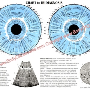 Diagnose iriscopie ooggrafiek - 8,5 "x 11" digitale download alternatieve geneeskunde