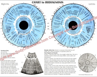 Iridiagnosis Iridology Eye Chart - 8.5 &quot; X 11&quot; Digital Download Alternative Medicine
