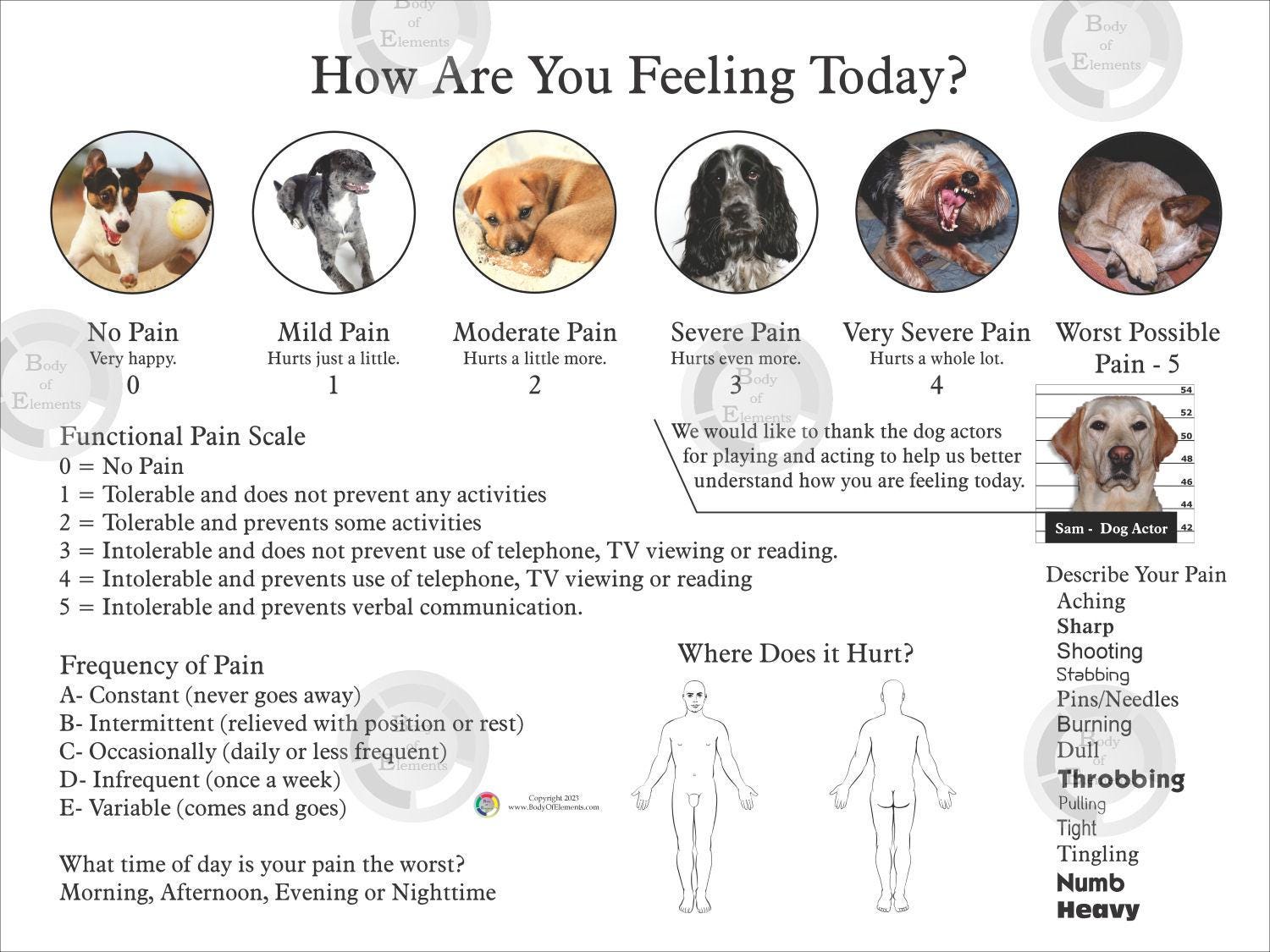 Visual Functional Classification Scale Visual and Functional Pain Scale Healthcare Clinic Medical Patient ...