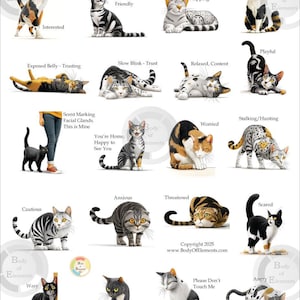 Tableau du langage corporel du chat, guide illustré des émotions, de l'humeur et du comportement félins en téléchargement numérique, cadeau imprimé art mural vétérinaire
