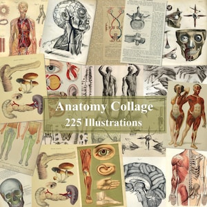 225 vintage oude anatomie illustraties medische ephemera digitale print download ongewenste dagboek clipart bundel collage collectie