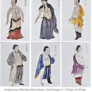 14 Vintage Acupuncture Meridian Illustrations Digital Prints Download Art Traditional Chinese Medicine Printable Journaling Dorm Collage