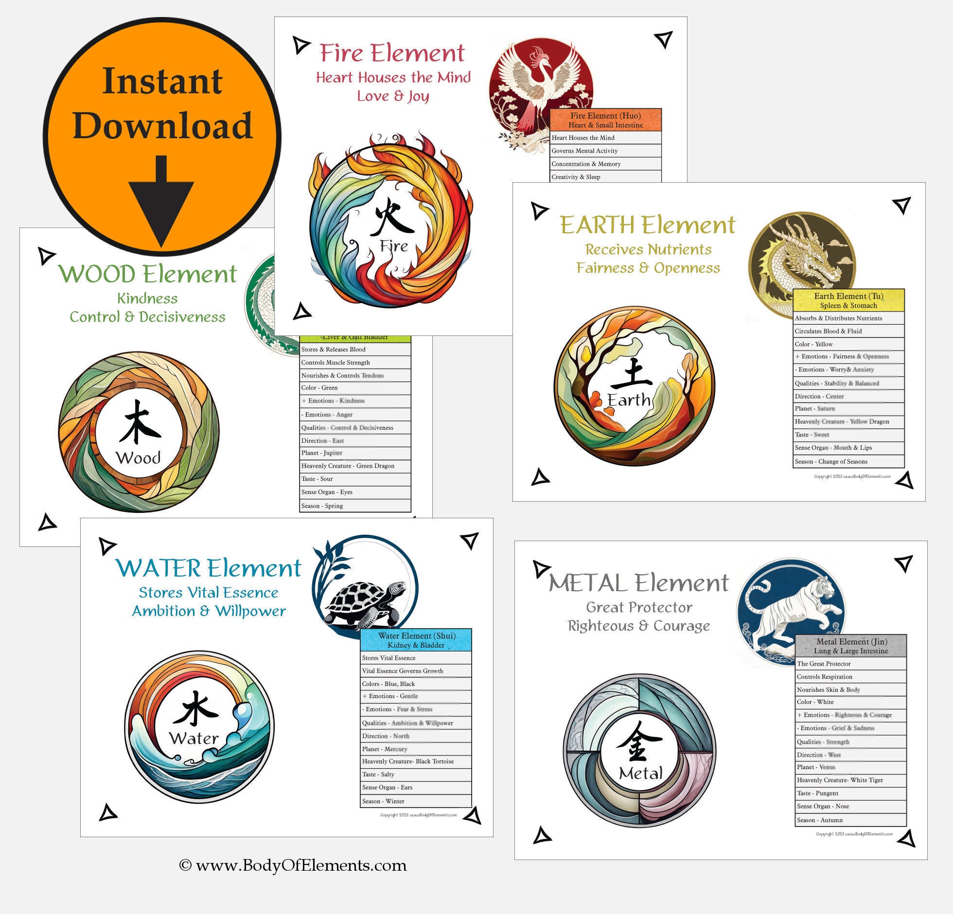 5 Five Elements Heavenly Creatures Acupuncture Digital Download