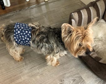 Patrón de costura para faja abdominal de Yorkshire Terrier, pañal para perro de raza toy, descarga digital, faja abdominal para Yorkie macho, tienda de mascotas, refugio, carta A4, PDF