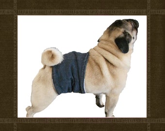 pug size dog diaper wrap belly band pattern pdf download