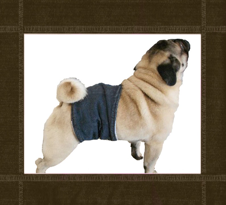 Pug Size Dog Diaper Wrap Belly Band Pattern Pdf Download (Download Now