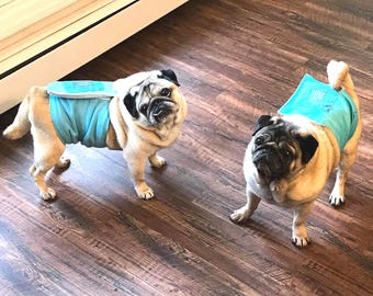 pug size dog diaper wrap belly band pattern pdf download digital file sewing large toy breed male pet training bellyband + A4 Zip