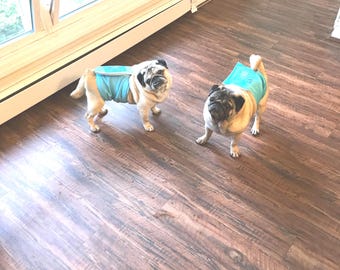 Pug Belly Band Sewing Pattern Dog Diaper Wrap Pet Training PDF Download Male Bellyband Large Toy Breed Incontinence Shelter A4 Letter PDF