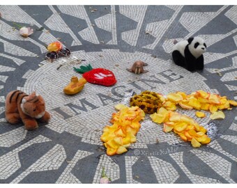 Imagine Peace Photo Strawberry Fields Central Park NY Digital Photography John Lennon Memorial Beatles NYC Download Printables Bundle Zip