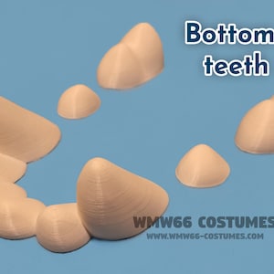 Large teeth set for canine base