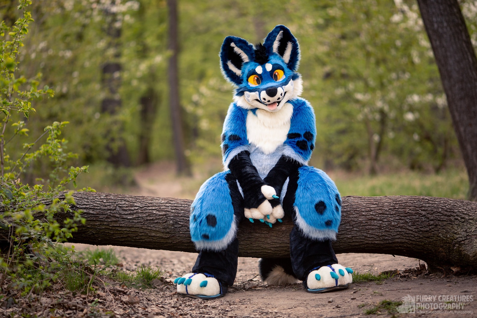 Fursuit