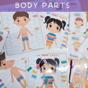 Body Parts Flashcards, Toddler Flash Cards, Kid Activity Visual Cards, Educational Printable Montessori Materials, Homeschool Activities