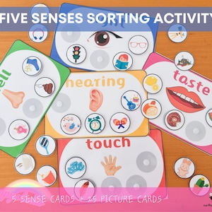 Five Senses Sorting Activity, Printable Kid&#39;s Game, 5 Senses, Preschool Educational Game, Homeschool Resource, Busy Bags Activity