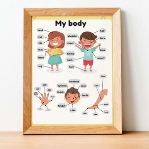 Carteles educativos para niños pequeños Partes del cuerpo humano Montessori Educación en el hogar Impresiones descargables Póster para el aula de niños en edad preescolar