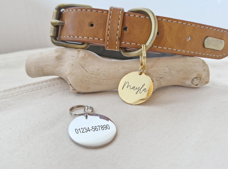 Médaille personnalisée pour animal de compagnie/chien, en acier inoxydable, or/argent, ronde, gravée, personnalisable, pour chien image 6