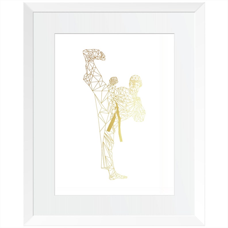 Set of 3 Taekwondo Illustrations Martial Arts Gift for Him Etsy