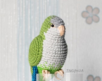 Green Quaker Crochet monk parakeet Bird lovers plushies toy pet loss memorial gift Personalized Easter artwork