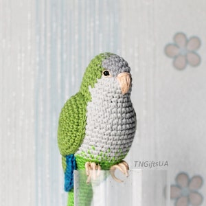 quaker parrot plush