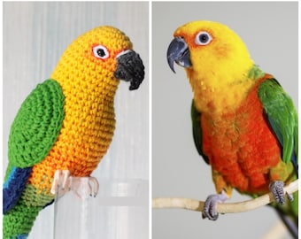 conure plush