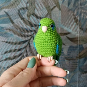 Crochet Green Parrotlet image 2