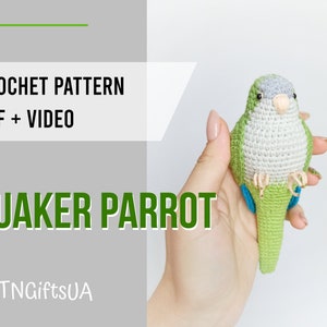 Crochet Green Quaker Parrot Pattern PDF with photos and video Monk Parakeet DIY Amigurumi Bird Stuffed animal