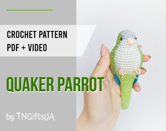 Crochet Green Quaker Parrot Pattern PDF with photos and video Monk Parakeet DIY Amigurumi Bird Stuffed animal