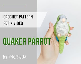 Crochet Green Quaker Parrot Pattern PDF with photos and video Monk Parakeet DIY Amigurumi Bird Stuffed animal