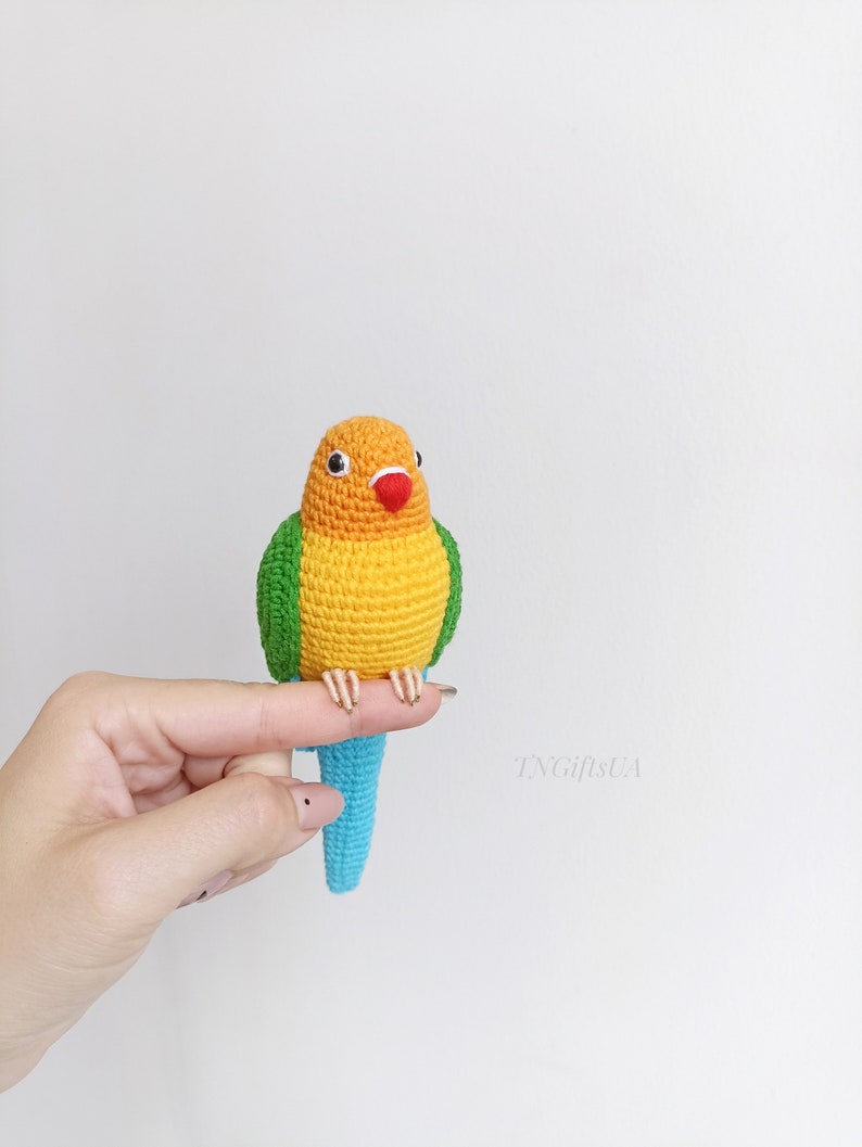 Crochet colorful Conure bird Stuffed animal themed toy bird messanger Amigurumi toy postman Parakeet toy gift for mother Plush Memorial image 9