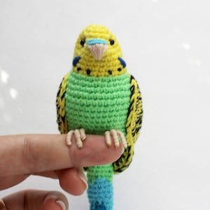 Crochet Green Budgie Easy PATTERN DIY Tutorial PDF New Year bird ornament Realistic bird with Flexible paws Amigurumi toy stuffed decor image 3