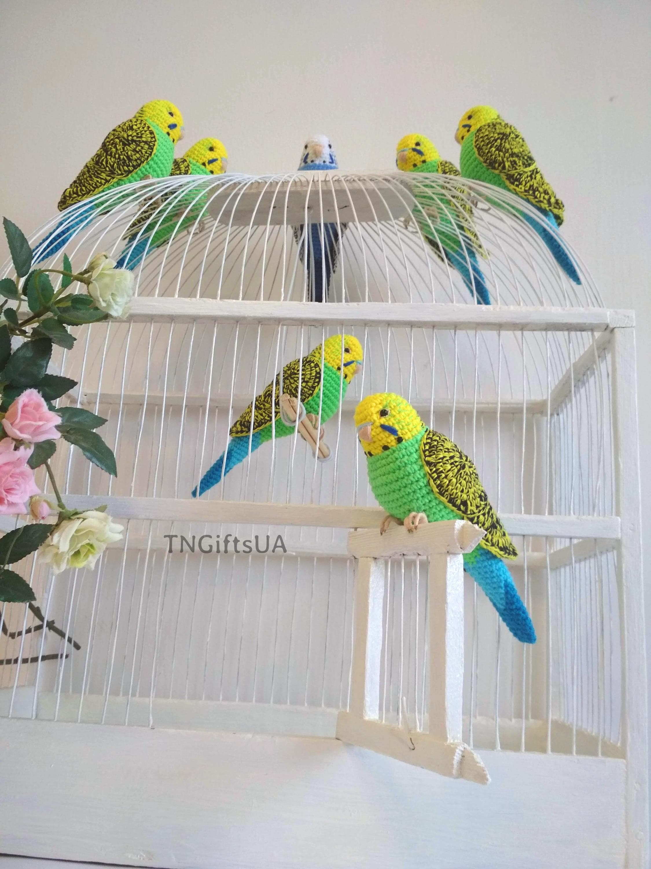  ♡ Budgeby Parrot Jellycat Budgeby Parrot 2025 Summer Release 100% Authentic NWT | eBay